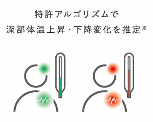 特徴2