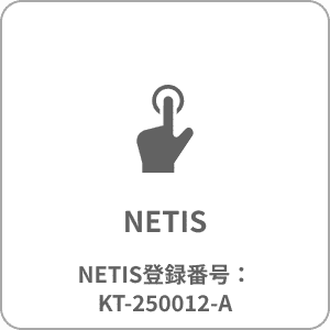 NETIS